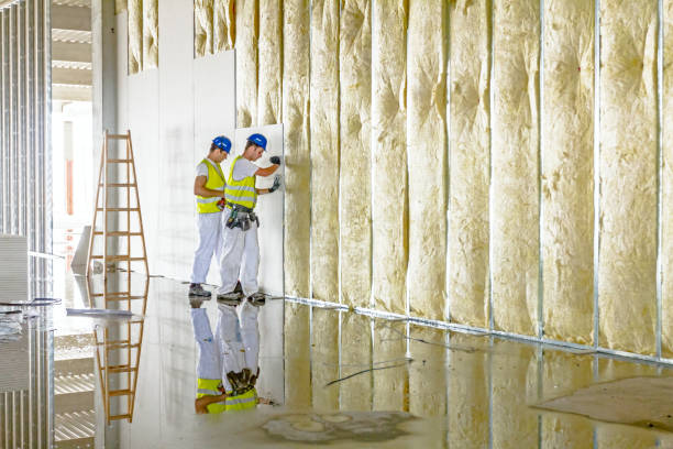 Best Insulation Maintenance and Repair in Shiloh, PA